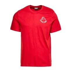 Montane Men's Mountain Print T-shirt -Regatta Store go 375371 u