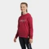 Ariat Kids’ 3D Logo Hoodie -Regatta Store go 574098 a